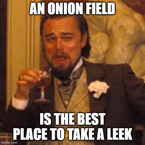 It's true. I wouldn't chive you. | AN ONION FIELD; IS THE BEST PLACE TO TAKE A LEEK | image tagged in memes,laughing leo,onions,bad puns,double entendres | made w/ Imgflip meme maker