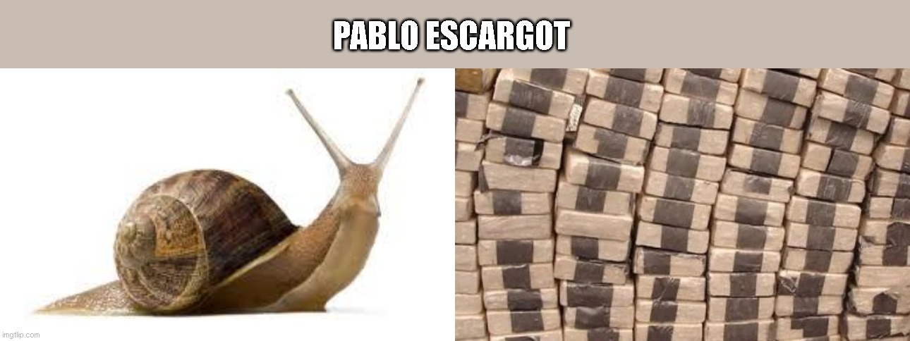 PABLO ESCARGOT | image tagged in funny | made w/ Imgflip meme maker