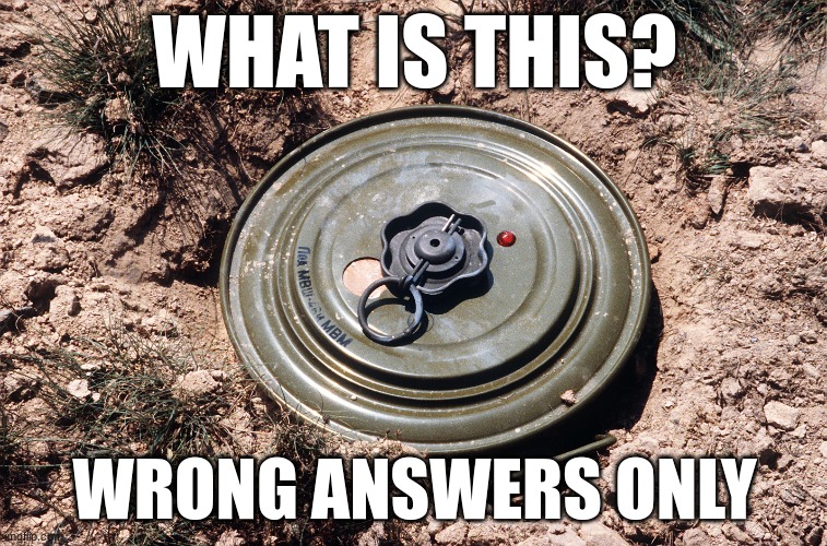 Wrong answers only | WHAT IS THIS? WRONG ANSWERS ONLY | image tagged in funny,wrong answers only | made w/ Imgflip meme maker