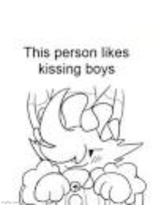 This person likes kissing boys | image tagged in this person likes kissing boys | made w/ Imgflip meme maker