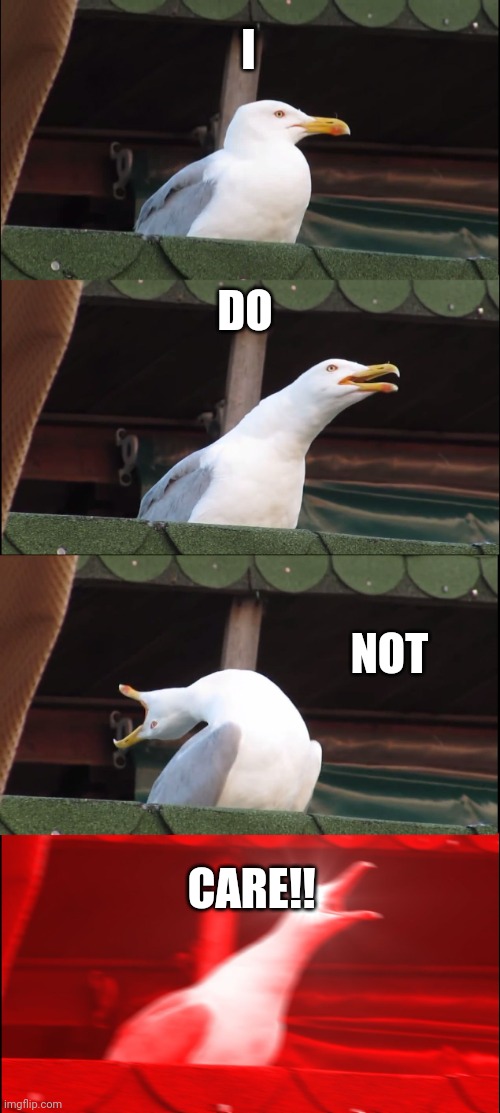 Inhaling Seagull | I; DO; NOT; CARE!! | image tagged in memes,inhaling seagull | made w/ Imgflip meme maker