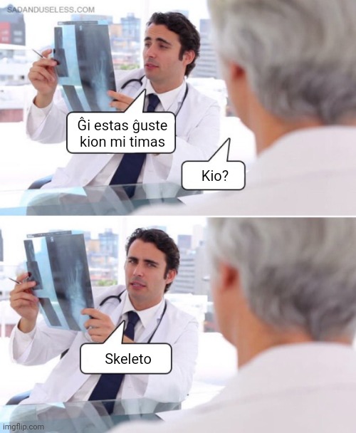 Skeleto | Ĝi estas ĝuste kion mi timas; Kio? Skeleto | image tagged in esperanto,memeo,skeleto,kuracisto | made w/ Imgflip meme maker