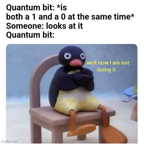 They can't do it on command | Quantum bit: *is both a 1 and a 0 at the same time*
Someone: looks at it
Quantum bit: | image tagged in well now i am not doing it,quantum physics,computer | made w/ Imgflip meme maker