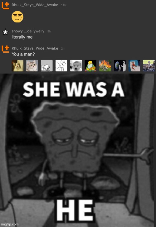 the five stages of grief | image tagged in she was a he | made w/ Imgflip meme maker