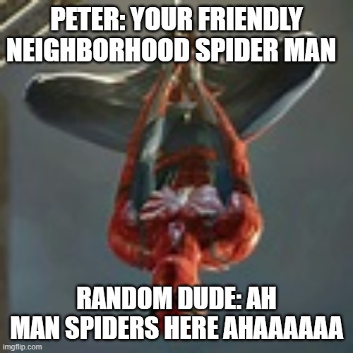 PETER: YOUR FRIENDLY NEIGHBORHOOD SPIDER MAN; RANDOM DUDE: AH MAN SPIDERS HERE AHAAAAAA | made w/ Imgflip meme maker