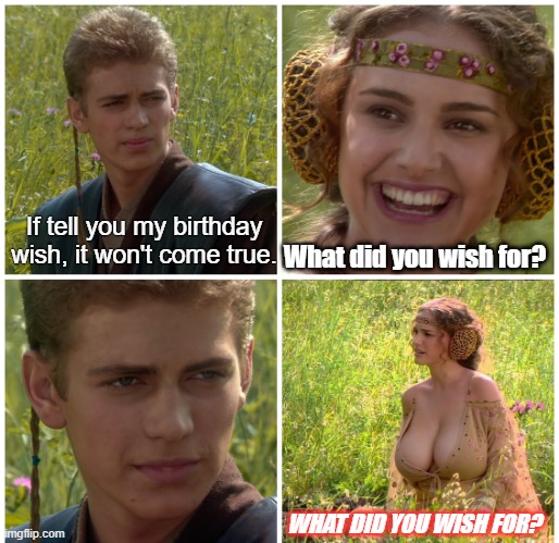 Annakin's Birthday wish | What did you wish for? If tell you my birthday wish, it won't come true. WHAT DID YOU WISH FOR? | image tagged in padme busty meme | made w/ Imgflip meme maker