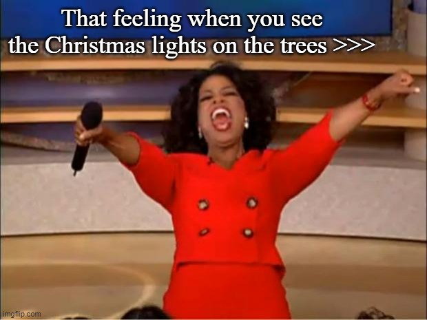 Oprah You Get A Meme | That feeling when you see the Christmas lights on the trees >>> | image tagged in memes,oprah you get a | made w/ Imgflip meme maker