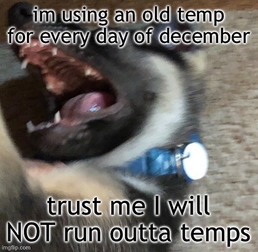 angy doggo | im using an old temp for every day of december; trust me I will NOT run outta temps | image tagged in angy doggo | made w/ Imgflip meme maker