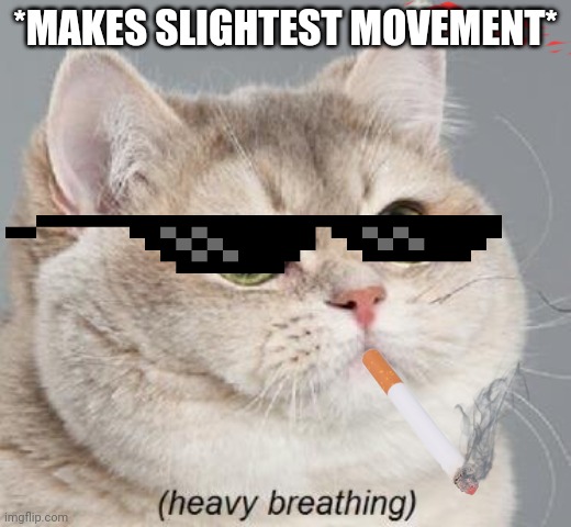 Heavy Breathing Cat | *MAKES SLIGHTEST MOVEMENT* | image tagged in memes,heavy breathing cat | made w/ Imgflip meme maker