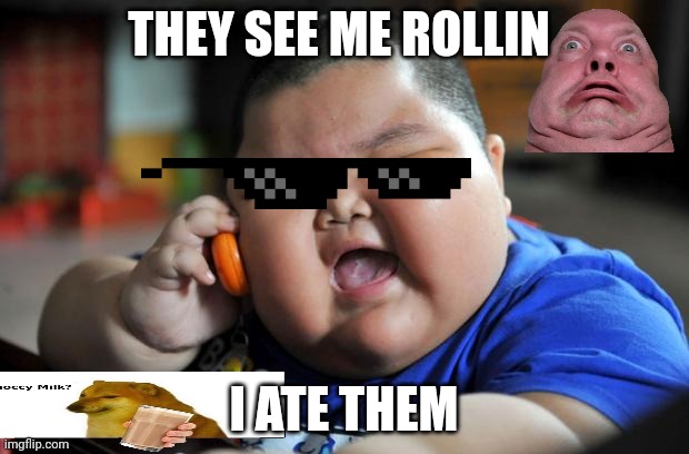 Fat Asian Kid | THEY SEE ME ROLLIN; I ATE THEM | image tagged in fat asian kid | made w/ Imgflip meme maker