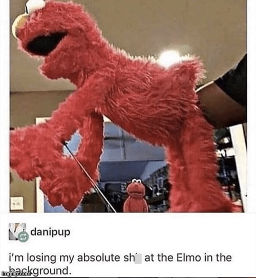image tagged in elmo | made w/ Imgflip meme maker