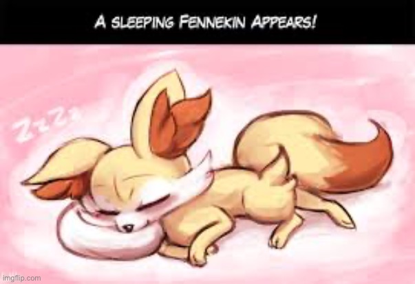Sleeping fennekin | image tagged in pokemon | made w/ Imgflip meme maker