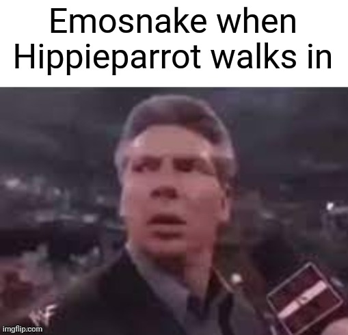 x when x walks in | Emosnake when Hippieparrot walks in | image tagged in x when x walks in | made w/ Imgflip meme maker