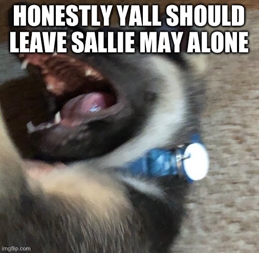 angy doggo | HONESTLY YALL SHOULD LEAVE SALLIE MAY ALONE | image tagged in angy doggo | made w/ Imgflip meme maker