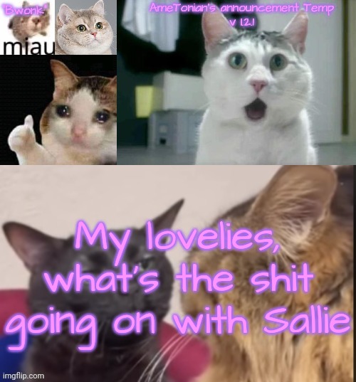 AmeTonian's announcement Temp v 1.2.1 | My lovelies, what's the shit going on with Sallie | image tagged in ametonian's announcement temp v 1 2 1 | made w/ Imgflip meme maker