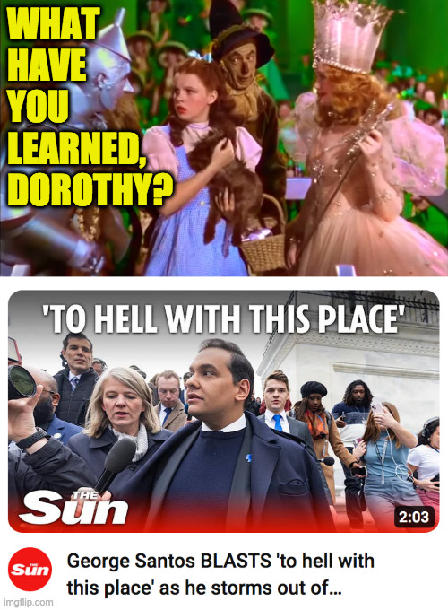 Dreams do come true. | WHAT
HAVE
YOU
LEARNED,
DOROTHY? | image tagged in memes,dorothy | made w/ Imgflip meme maker