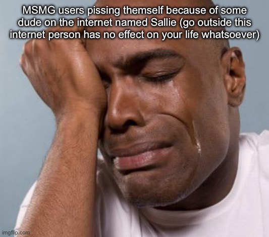 black man crying | MSMG users pissing themself because of some dude on the internet named Sallie (go outside this internet person has no effect on your life whatsoever) | image tagged in black man crying | made w/ Imgflip meme maker