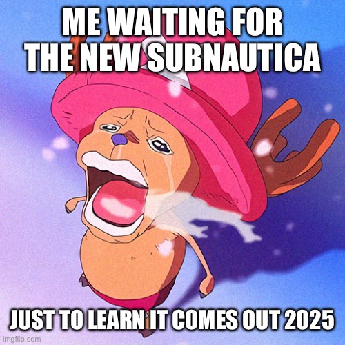 Crying chopper | ME WAITING FOR THE NEW SUBNAUTICA; JUST TO LEARN IT COMES OUT 2025 | image tagged in crying chopper | made w/ Imgflip meme maker