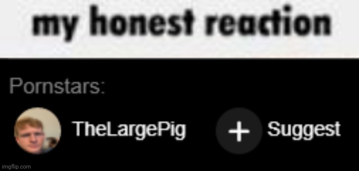 image tagged in my honest reaction,thelargepig on phub | made w/ Imgflip meme maker