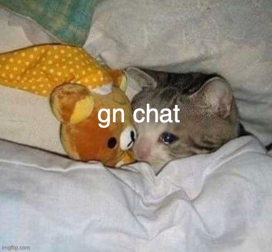 my eyes are hurting with exhaustion and yall are consuming my time i have 10 hours of dance this weekend | gn chat | image tagged in crying cat | made w/ Imgflip meme maker
