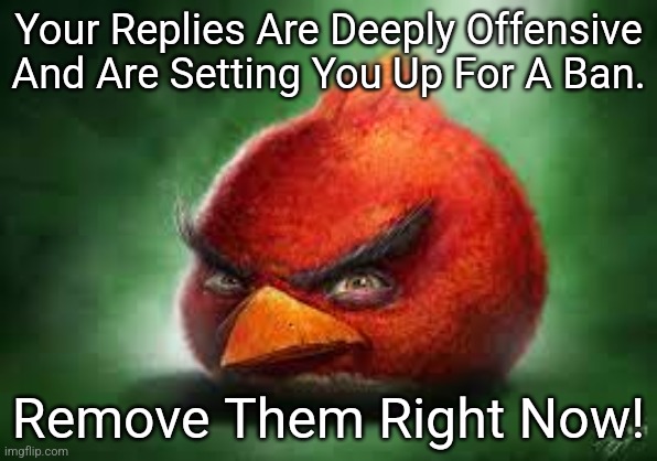 please boost | Your Replies Are Deeply Offensive And Are Setting You Up For A Ban. Remove Them Right Now! | image tagged in realistic angry birds | made w/ Imgflip meme maker