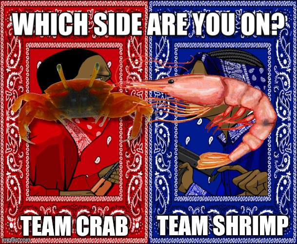 I'm on team crab | TEAM CRAB; TEAM SHRIMP | image tagged in which side are you on | made w/ Imgflip meme maker