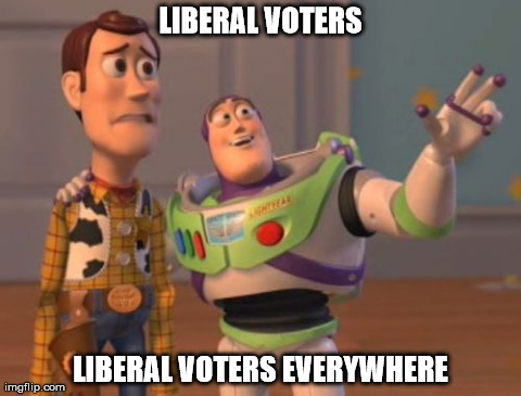 X, X Everywhere | LIBERAL VOTERS LIBERAL VOTERS EVERYWHERE | image tagged in memes,x x everywhere | made w/ Imgflip meme maker