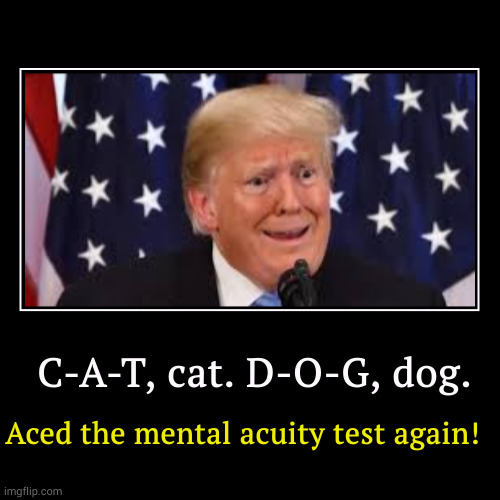 He never releases the test results. He makes up a story instead. | C-A-T, cat. D-O-G, dog. | Aced the mental acuity test again! | image tagged in funny,demotivationals,trump,senile,dementia,crazy | made w/ Imgflip demotivational maker