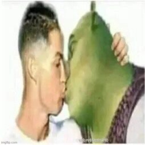 High Quality Ronaldo kissing Shrek Blank Meme Template