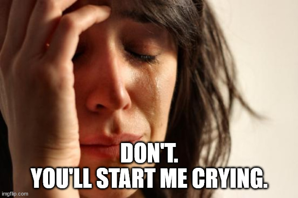 First World Problems Meme | DON'T.
YOU'LL START ME CRYING. | image tagged in memes,first world problems | made w/ Imgflip meme maker