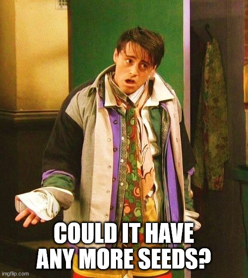 Joey Friends Could I be wearing more clothes | COULD IT HAVE ANY MORE SEEDS? | image tagged in joey friends could i be wearing more clothes | made w/ Imgflip meme maker