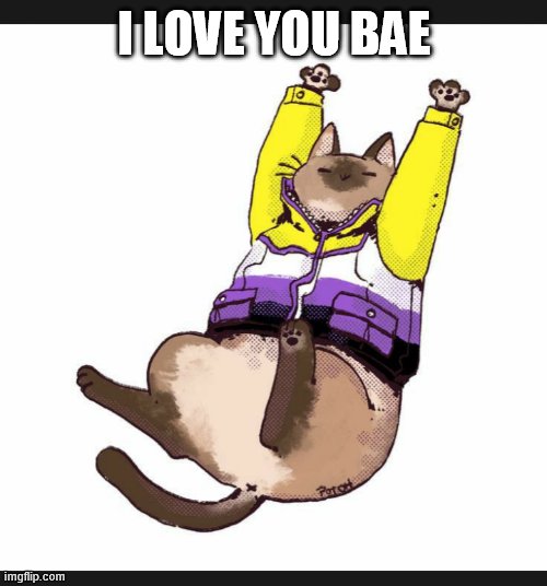 I LOVE YOU BAE | made w/ Imgflip meme maker