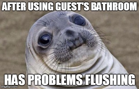 Awkward Moment Sealion Meme | AFTER USING GUEST'S BATHROOM HAS PROBLEMS FLUSHING | image tagged in awkward sealion,AdviceAnimals | made w/ Imgflip meme maker