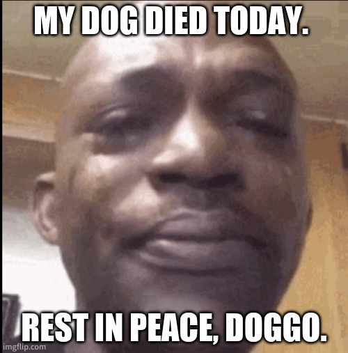 He will be remembered | MY DOG DIED TODAY. REST IN PEACE, DOGGO. | image tagged in crying black dude | made w/ Imgflip meme maker