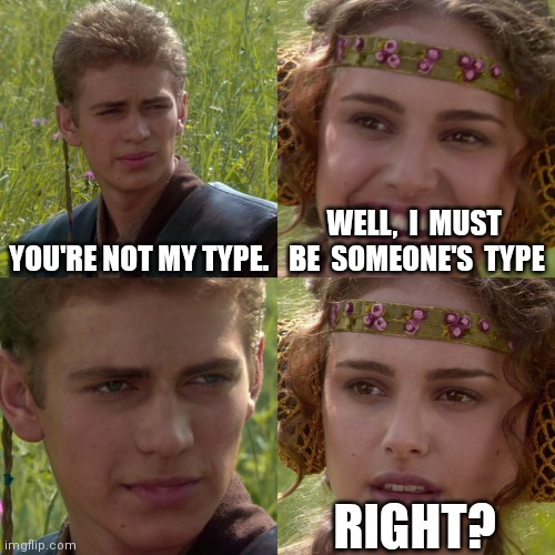 I'm nobody's type :( | YOU'RE NOT MY TYPE. WELL,  I  MUST  BE  SOMEONE'S  TYPE; RIGHT? | image tagged in anakin padme 4 panel | made w/ Imgflip meme maker