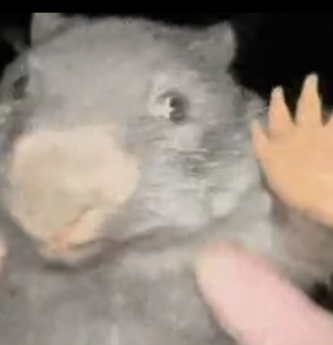 High Quality Bobr Blank Meme Template