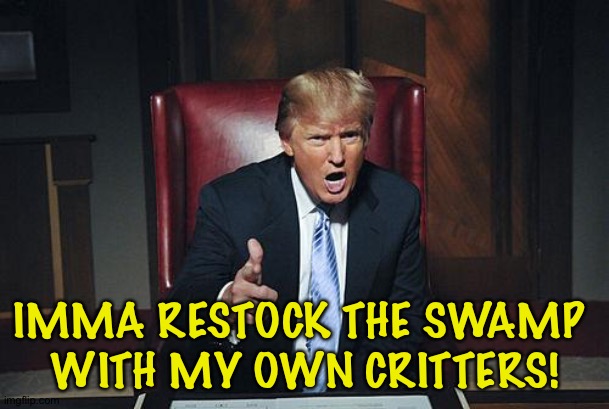 Donald Trump You're Fired | IMMA RESTOCK THE SWAMP 
WITH MY OWN CRITTERS! | image tagged in donald trump you're fired | made w/ Imgflip meme maker