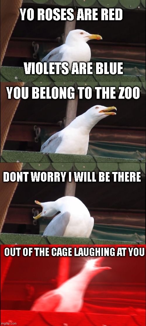 lol idk what title ill put here | YO ROSES ARE RED; VIOLETS ARE BLUE; YOU BELONG TO THE ZOO; DONT WORRY I WILL BE THERE; OUT OF THE CAGE LAUGHING AT YOU | image tagged in memes,inhaling seagull | made w/ Imgflip meme maker