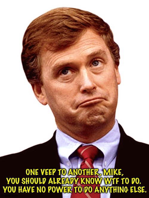 Dan Quayle unpresidented | ONE VEEP TO ANOTHER, MIKE, YOU SHOULD ALREADY KNOW WTF TO DO.  YOU HAVE NO POWER TO DO ANYTHING ELSE. | image tagged in dan quayle unpresidented | made w/ Imgflip meme maker