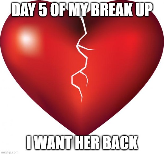 She won't want me back I tried ? | DAY 5 OF MY BREAK UP; I WANT HER BACK | image tagged in broken heart | made w/ Imgflip meme maker