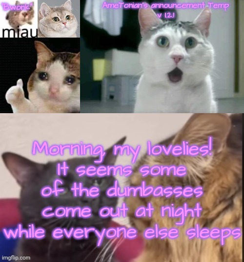 AmeTonian's announcement Temp v 1.2.1 | Morning, my lovelies!
It seems some of the dumbasses come out at night while everyone else sleeps | image tagged in ametonian's announcement temp v 1 2 1 | made w/ Imgflip meme maker