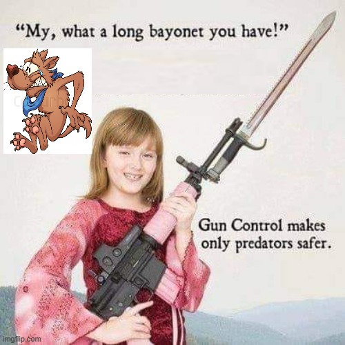 Gun control only makes predators safe | image tagged in predators,gun control,stupidity,stupid liberals | made w/ Imgflip meme maker