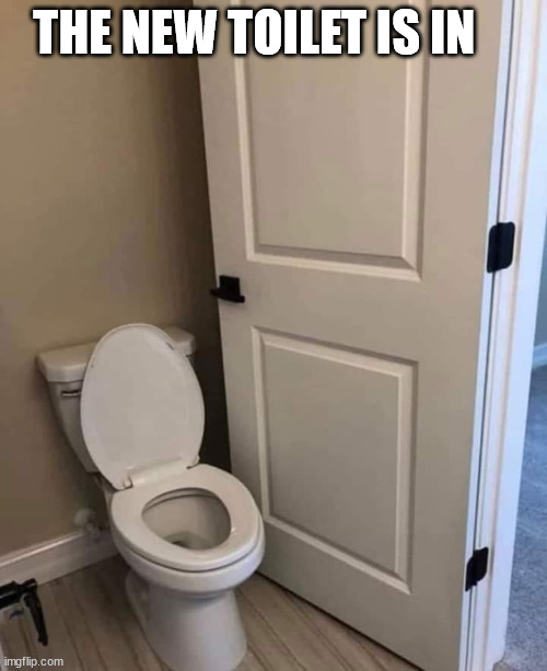 THE NEW TOILET IS IN | image tagged in durl earl | made w/ Imgflip meme maker
