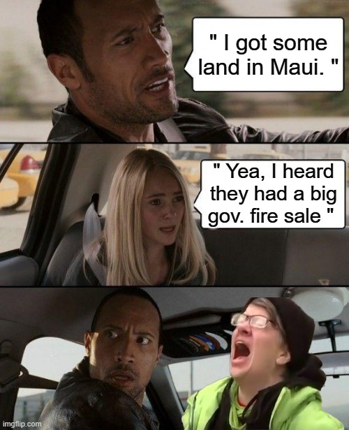FIRE SALE.. | " I got some land in Maui. "; " Yea, I heard they had a big gov. fire sale " | image tagged in memes,democrats,evil | made w/ Imgflip meme maker
