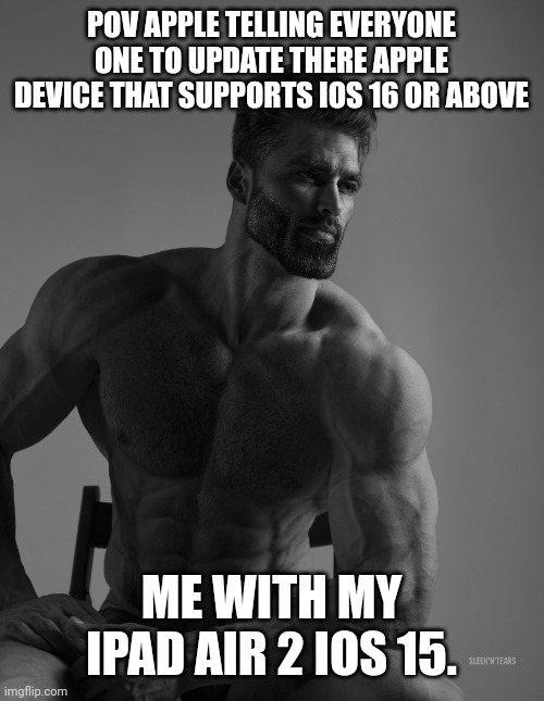 Zero day alerts btw | POV APPLE TELLING EVERYONE ONE TO UPDATE THERE APPLE DEVICE THAT SUPPORTS IOS 16 OR ABOVE; ME WITH MY IPAD AIR 2 IOS 15. | image tagged in giga chad | made w/ Imgflip meme maker
