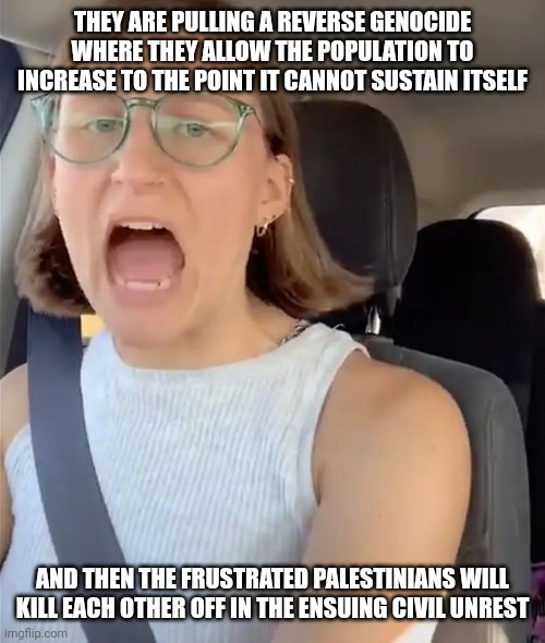 Unhinged Liberal Lunatic Idiot Woman Meltdown Screaming in Car | THEY ARE PULLING A REVERSE GENOCIDE WHERE THEY ALLOW THE POPULATION TO INCREASE TO THE POINT IT CANNOT SUSTAIN ITSELF AND THEN THE FRUSTRATE | image tagged in unhinged liberal lunatic idiot woman meltdown screaming in car | made w/ Imgflip meme maker