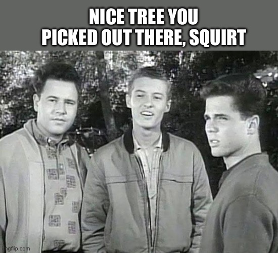 it's Beaver | NICE TREE YOU PICKED OUT THERE, SQUIRT | image tagged in it's beaver | made w/ Imgflip meme maker