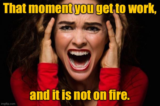 That moment | That moment you get to work, and it is not on fire. | image tagged in screaming woman,you get to work,realise,not on fire,eyeroll | made w/ Imgflip meme maker