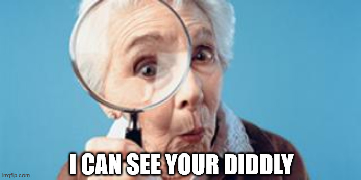 Old lady magnifying glass | I CAN SEE YOUR DIDDLY | image tagged in old lady magnifying glass | made w/ Imgflip meme maker