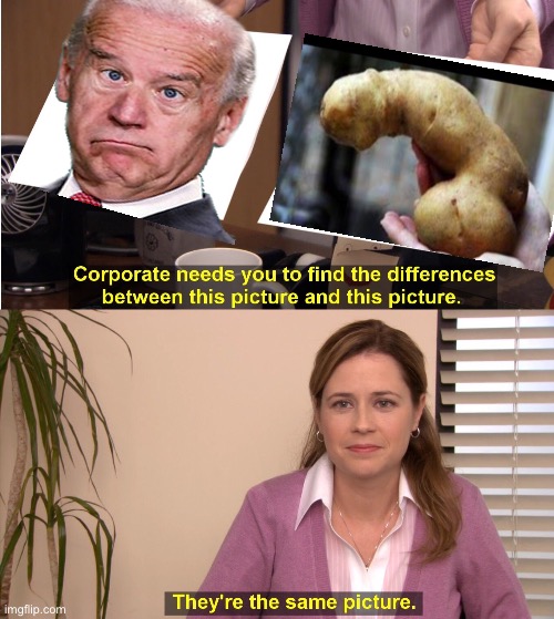 They're The Same Picture Meme | image tagged in memes,they're the same picture | made w/ Imgflip meme maker